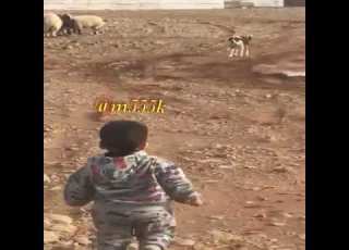 اغنيه تحزم تحزم