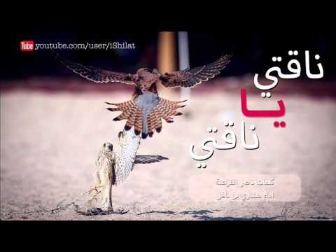 شيلة ناقتي يا ناقتي كلمات ناصر الفراعنة اداء مشاري بن نافل 2015
