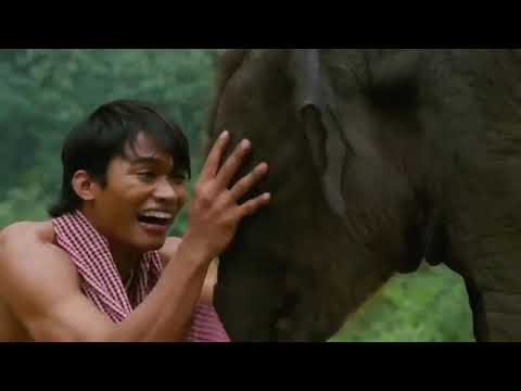 Película De Tony Jaa Thai Dragon Casi Completa