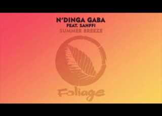  N Dinga Gaba Feat Sahffi Summer Breeze Raw Artistic Soul Remix