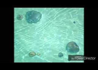  Spongebob One Krab S Trash Title Template Without Voice 2002