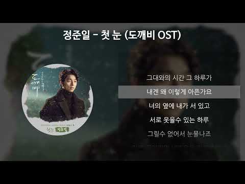 정준일 첫 눈 도깨비 OST 가사 Lyrics
