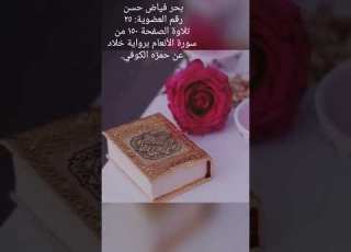 بحر فياض حسن تلاوة الصفحة ١٥٠ من سورة الأنعام برواية خلاد عن حمزه الكوفي