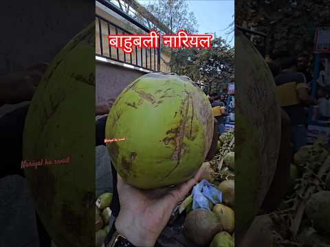 10 Kg Bahubali Coconut Trending Streetfood Ekmotahathighumechala Youtubeshorts