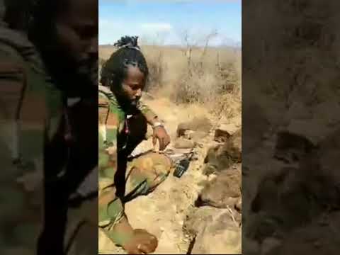 Oduu Haaraa Guyyaa Har Aa