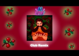  BAV Ягоды DJ SVYAT Remix Club Remix