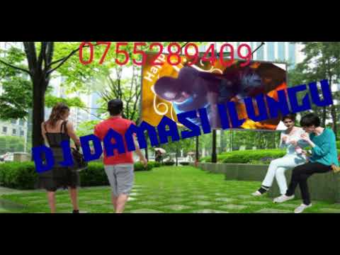Professor Dj Damasi Ilungu Bit Mpya 2026 0755289409