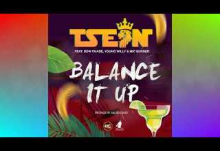 T Sean Balance It Up Feat Bowchase Mic Burner Young Willy