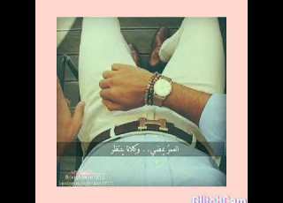 وحشانى دنيتو وحشانى