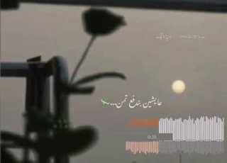 يا معاشر التعابين