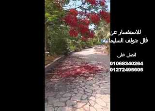 جولف السليمانية طريق مصر اسكندرية الصحراوي