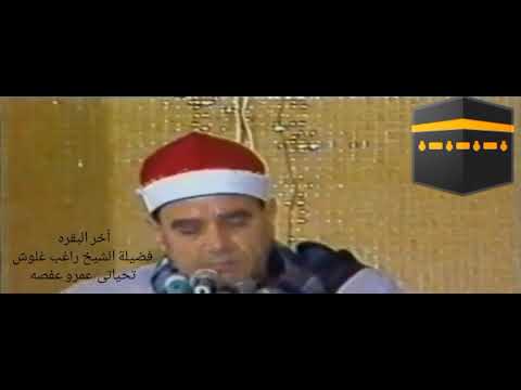 الشيخ راغب مصطفى غلوش خواتيم سورة البقرة