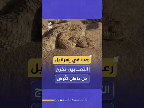 رعب في إسرائيل الثعابين تخرج من باطن الأرض
