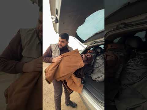 لا يزال الخير حيا لا يزال