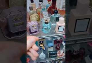 Best Perfumes For Women Shorts Perfume Fragrance Chanel Lancome Cocomademoiselle Perfumes Fy