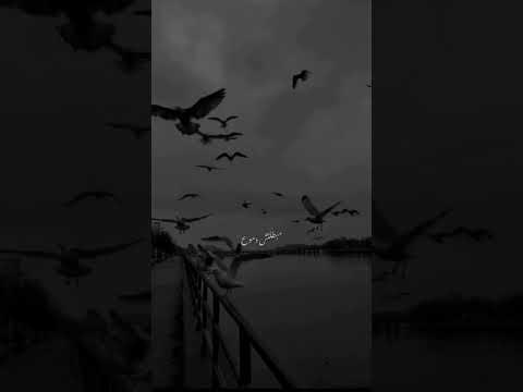 قلبي من الوجع موجوع حالات واتس اب ستوريات انستغرام حالات حزينة