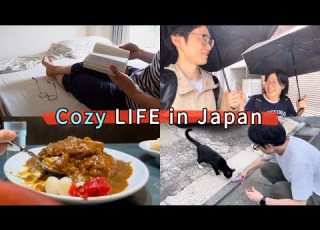  Gemütliches Leben In Japan Trost An Müden Tagen Morgenspaziergänge Katzen Curry