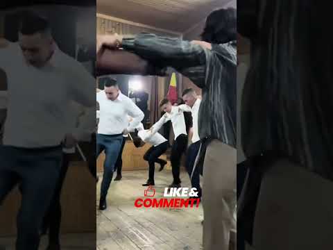 Sarba Live Loveband Dance Wedding Love Music Duet Musicsong Show Funny