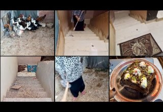 روتين من فوق السطوح تنظيف تحت الطيور وتحضير حاجة حلوة للعيال أجواء بيتية دافئة