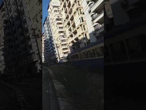 Alexandria Tram