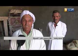 مطحنة تقليدية منذ 1959 وجهة أبناء سيدي عامر لطحن محاصيلهم