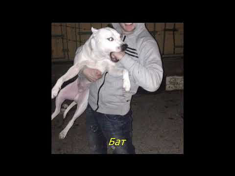 MOM4ETO MOMO LUBIMECA Offical Audio MOM4ETO MOMO LUBIMECA Offical Audio