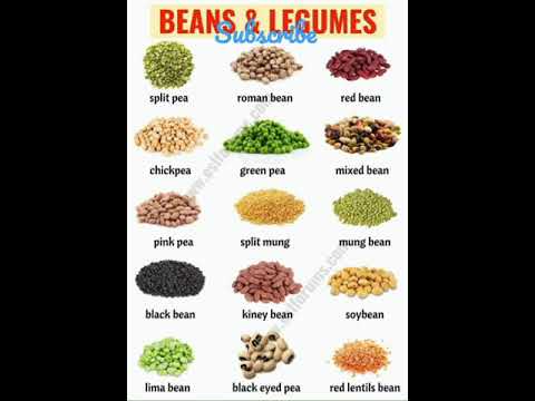 Beans And Legumes Learn English Daily