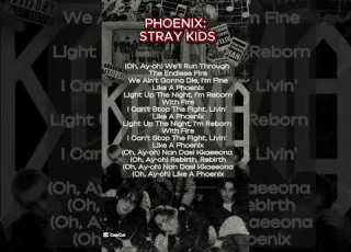 Phoenix By Stray Kids Lyrics Kpop Straykids Ytshorts Karma Phoenix Skz Skzedit Lyrics