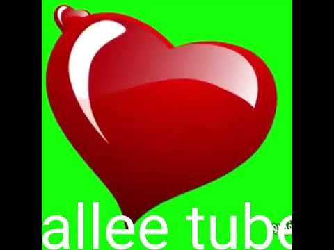 Munir Www Sirba Jalala 2018