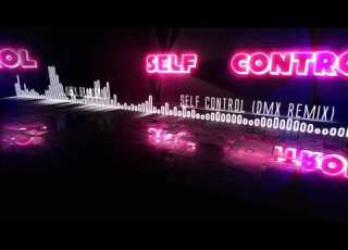 Laura Branigan Self Control DMX Remix