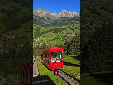 لا أحصي الشكر بافصاحي وعد في جنة عدن المقطع يذك رنا أن الموعد بالجنة باق