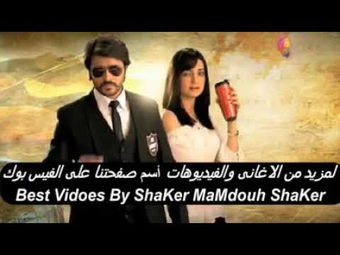 حبيبي دائما