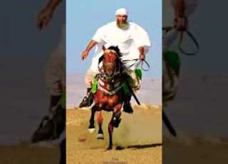 رياح العزم