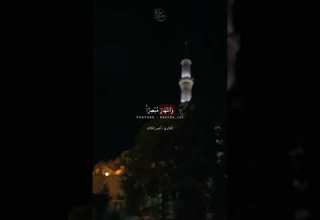 القارئ أنس المالك