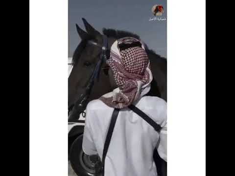 انساه وانسى ذكراه والقاه بحلامي خيبه غريب ال مخلص بصوت بطيء ستوريات انستا خليجيه حالات واتس اب انساه وانسى ذكراه والقاه بحلامي خيبه غريب ال مخلص بصوت بطيء ستوريات انستا خليجيه حالات واتس اب