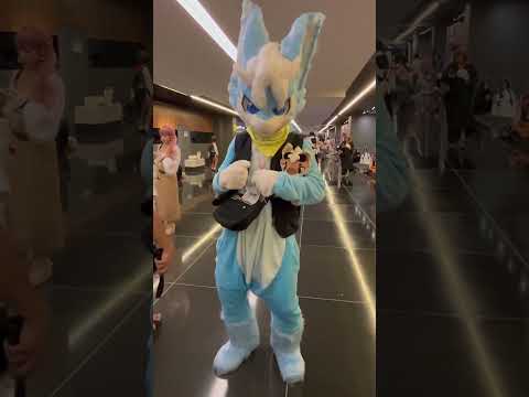 Cute Furry Cosplay EOY Cosplay Cosplayer Furries Fursuit Cosplayers Shorts Cute Adorable