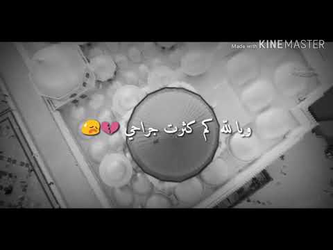 أريد الحب في قلب شريف المدينة المنورة