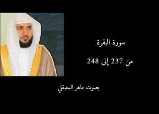  سورة البقرة من 237 إلى 248 ماهر المعيقلي