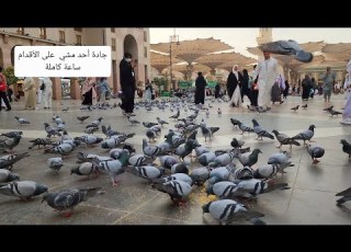  من ساحات المسجد النبوي الشريف إلى ساحة شهداء غزوة أحد مشاهدة جميلة على الطريق