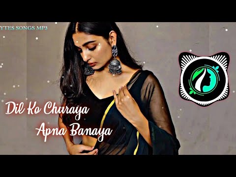 Dil Ko Churaya Apna Banaya Remix Song New Slowed And Reverb Songs Romantic Song Slowed Reverb