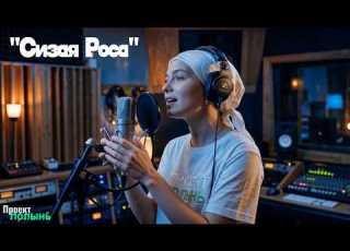 ПРОЕКТ ПОЛЫНЬ Сизая Роса Studio Live Session