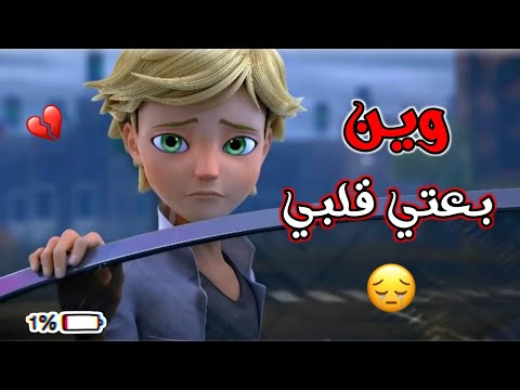 وين بعتي قلبي الشامي أغنية مؤثرة وجميلة جدا على الدعسوقة والقط الاسود ميراكالوس مع الكلمات