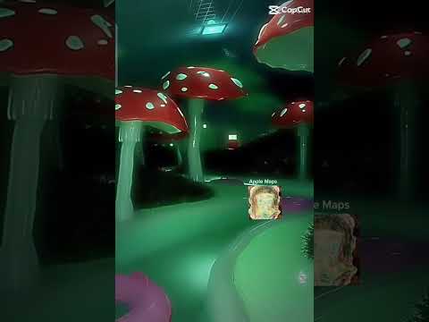 Where Am I Bro F Ck Apple Maps