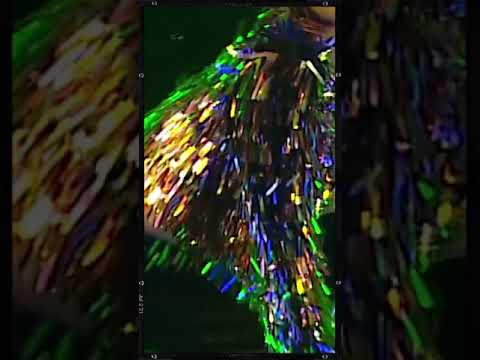 VARTIKA CRAZY KIYA RE SHORTS