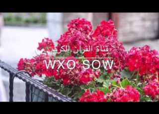 قران كريم سورة الواقعة بصوت سلمان العتيبي جميل جدا