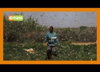  Wasomi Wa Isiolo Waipongeza Serikali Kwa Kukabiliana Na Nzige