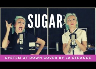  SUGAR SYSTEM OF A DOWN COVER