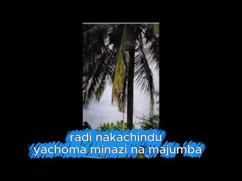 Habari Radii Yachoma Minazi Mi Nne Na Majumba Huko Kijijini Nakachindu Habari Radii Yachoma Minazi Mi Nne Na Majumba Huko Kijijini Nakachindu