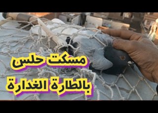 مسكت حلس كدة 21 ضريبة تربووالغيةالمصرية