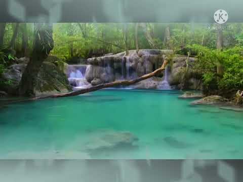 سورة النحل فيديو نادر لأول مرة للشيخ محمود الطبلاوي